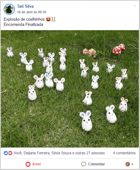 Postagem no Facebook de Amigurumis de Coelhos